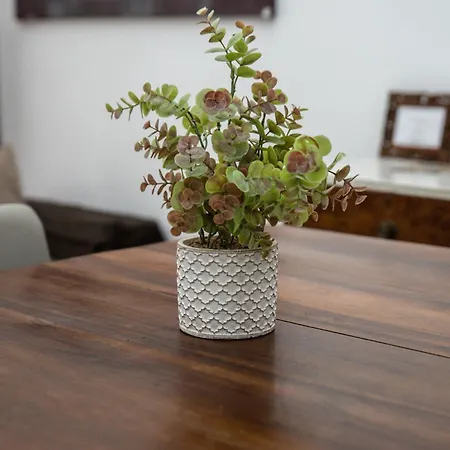 Zefnea House Apartment Catania